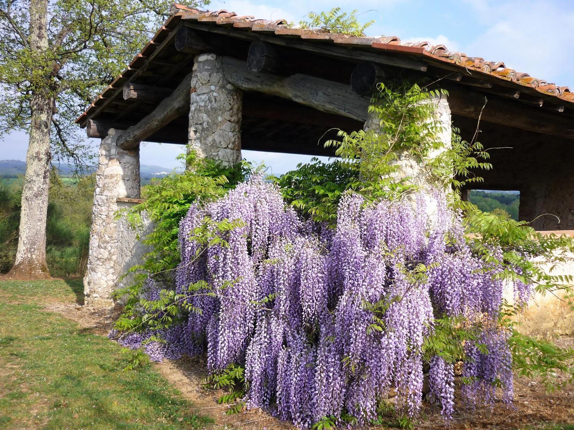 Fattoria Agriturismo Nerbona Villa Casole d'Elsa Exterior photo